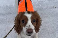 472420012_592735790122309_8484534257869319218_n