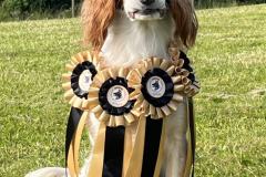 69a03ee5-1508-422e-ba8d-effdf9c83415