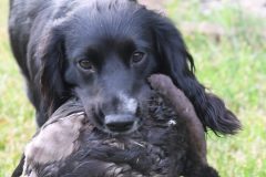 DSC_3680-edited-scaled